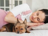 Dormir com cachorro na cama pode afetar mais o sono do pet do que o do dono, diz estudo