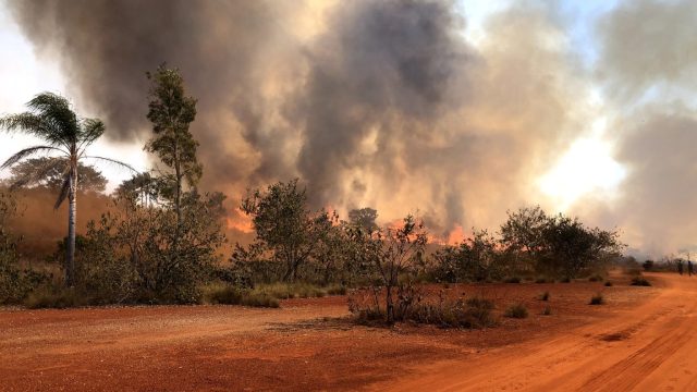 Franca têm alto risco de incêndios florestais no sábado (10), mas vai chover no resto do estado