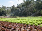 Franca recebe nesta quinta-feira (8) o 2º Fórum de Agro Sustentabilidade