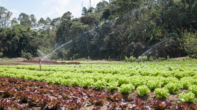Franca recebe nesta quinta-feira (8) o 2º Fórum de Agro Sustentabilidade